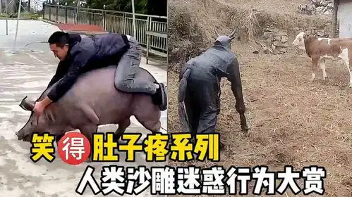 沙雕搞笑名场面,不怕沙雕多,就怕沙雕聚一窝
