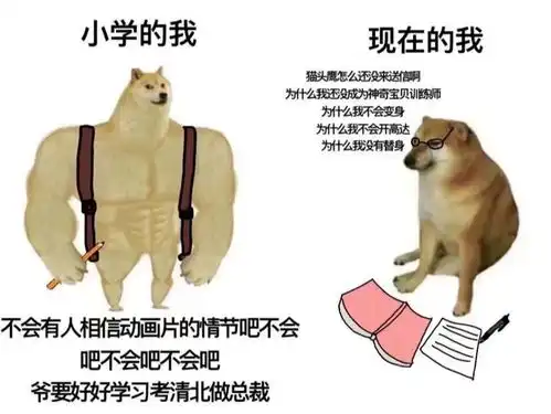 搞笑趣图我理想中的女友vs现实的女友

