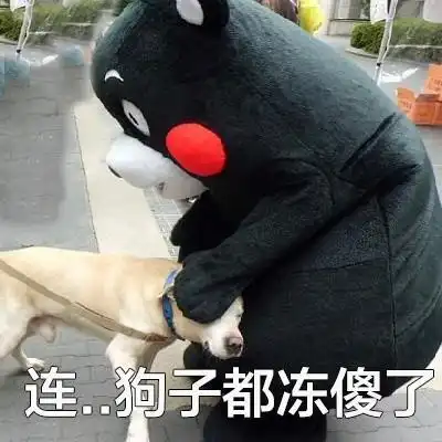 撒娇表情包我不管,我必须去你家睡图片
