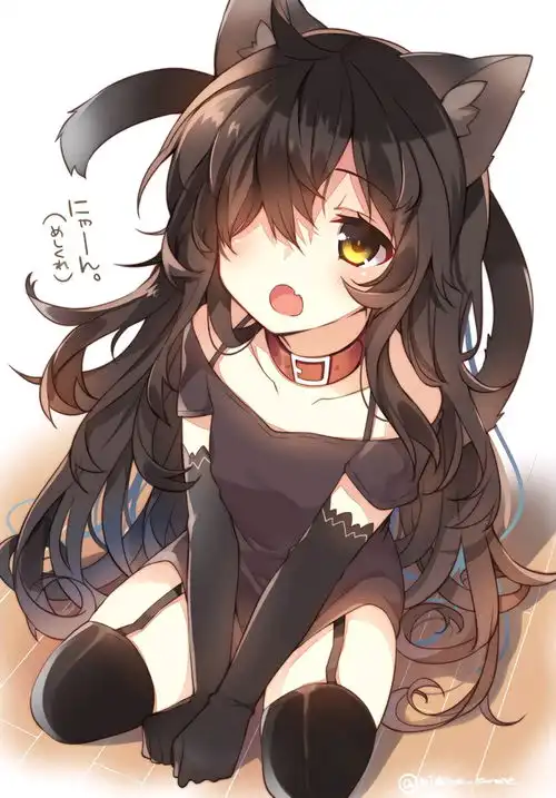 兽耳萝莉与黑丝
