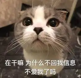 搞笑的猫咪表情包31张,拿去折腾男朋友吧
