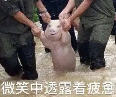 2018最新表情包大赏小猪佩奇,假笑boy,边缘试探你最爱
