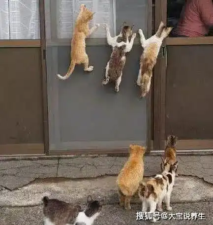 搞笑gif你是那个卖挖掘机的吧
