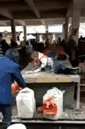 搞笑图片溜冰场上的一朵奇葩
