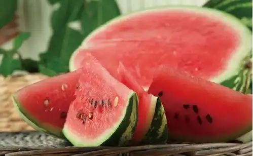 告诉大家夏季养生吃什么9种常见食物推荐给你
