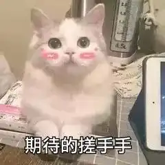 团学品牌活动双语之星演讲比赛
