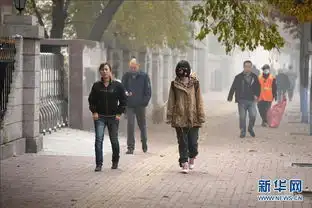 哈尔滨大雾封城中小学停课
