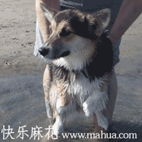 轻松一刻游泳搞笑图片集锦笑死不偿命
