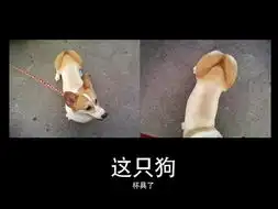 只为雷你
