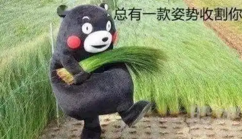 一步踏入豪门的日系品牌,它都有什么值得买
