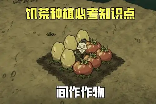 饥荒联机版逐步过渡到农耕时代种植大改究竟是好,还是坏

