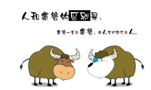 保健品骗子们,你们的良心何在
