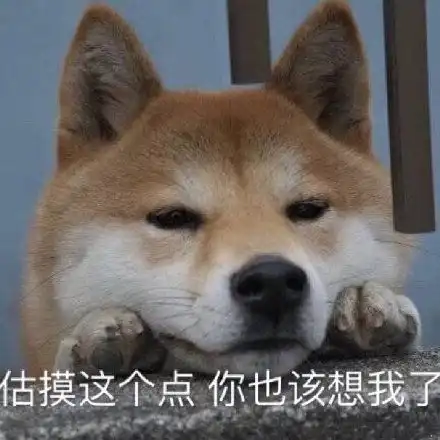 汪星人表情包

