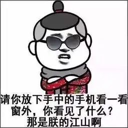 我把你当帐篷,你却想吊我
