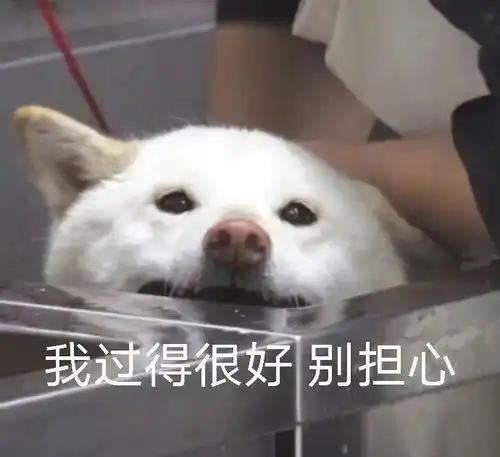 9.8表情包你好野啊

