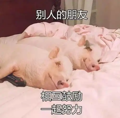 爆笑大集锦,不看后悔
