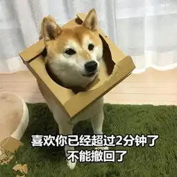 可爱逗比的汪星人表情包头像都微信头像我要个性网
