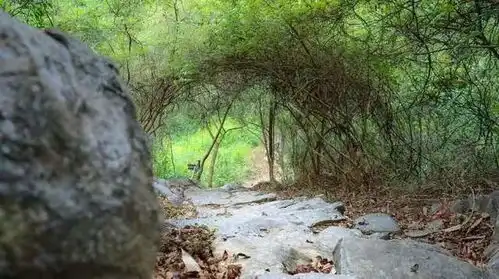 韶关乳源仙门奇峡景区,水作青罗带,山如碧玉簪

