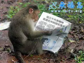 我在登峨眉山时看到的惊人一幕巨寒
