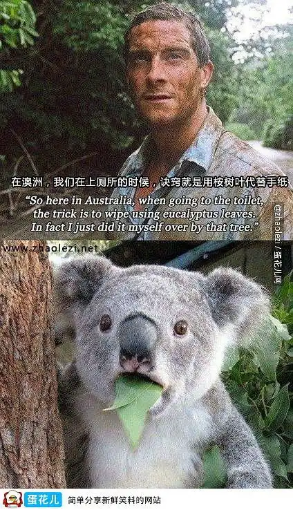这些搞笑图片看一次,笑一次
