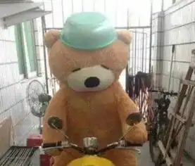 搞笑趣图野生怪力遇见三地鼠
