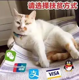 搞笑图片幽默段子你的戏可以像你的钱一样少吗
