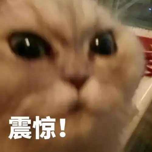 商业分析实习怎么找入职国企私企外企,五年后会有什么差距
