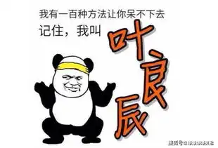 爆笑段子刚毕业进公司,跟一帅哥聊得投机,便结为兄妹山君
