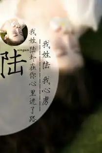 姓氏图片文字我姓陆
