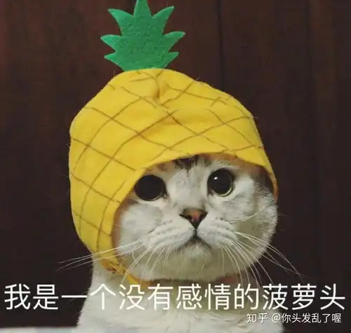 上网课你发什么了什么搞笑的事情
