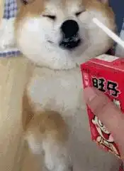 搞笑gif妹子,你的魔术变的太棒了
