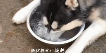 搞笑gif图片姑娘你这个屁的威力够大啊
