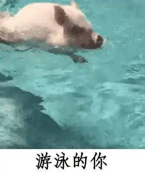 大哥,你这是太害怕自己相亲会成功了么

