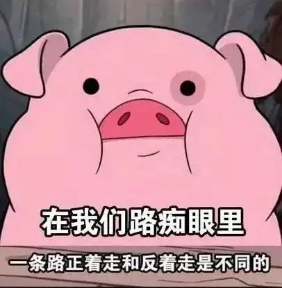 为什么有人是活地图有人却天生路痴终于知道原因了
