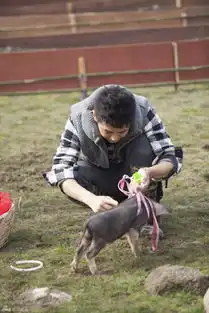 爸爸老爸变装逗萌娃小猪赛跑趣味多
