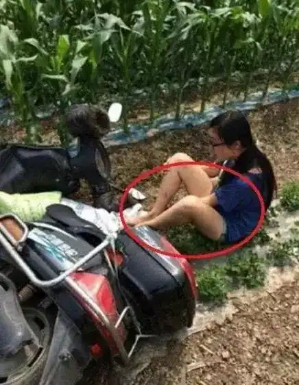搞笑gif女司机开什么车都不安全
