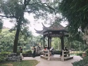 景美人少不花钱又好玩,南宁这个公园,森林中竟藏着一片小沙漠

