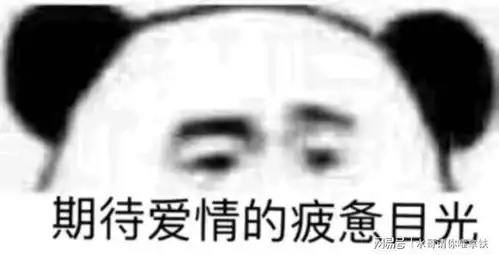 泡妞软件有哪些
