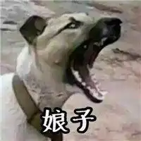 微信搞笑鬼畜头像动漫恶搞鬼畜头像大图
