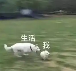 2018年搞笑新闻盘点,今年的快乐一次性给你

