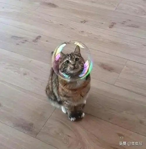 乍看之下会欺骗你我双眼的18张照片
