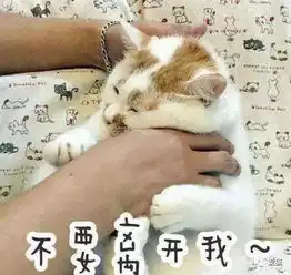 每10个年轻人中,就有2人在养猫...

