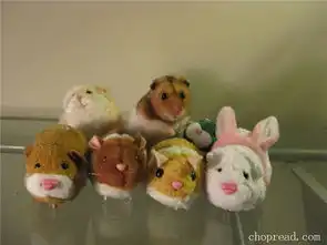 这些宠物伪装后简直太神奇了

