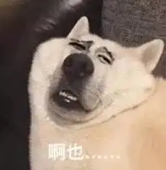 7块钱的眉笔,30块的唇釉,还有污污的小正方形,零点酱的包包里都是些什么东西
