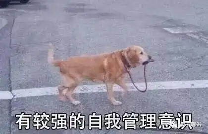 2018年度网友热选最搞笑图片,笑出腹肌
