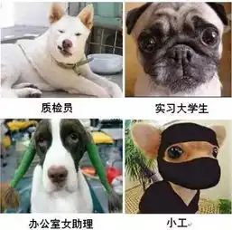 少壮不努力,长大上工地筑猎
