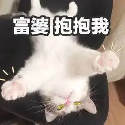 带宠上班是什么样的体验
