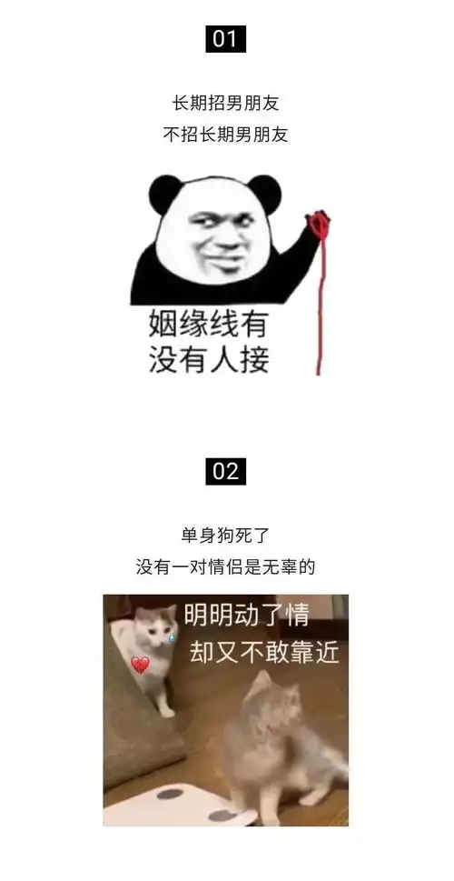 单身一时爽,一直单身一直爽
