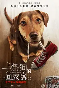 一条狗的回家路曝新预告狗狗生死逃亡为爱涉险
