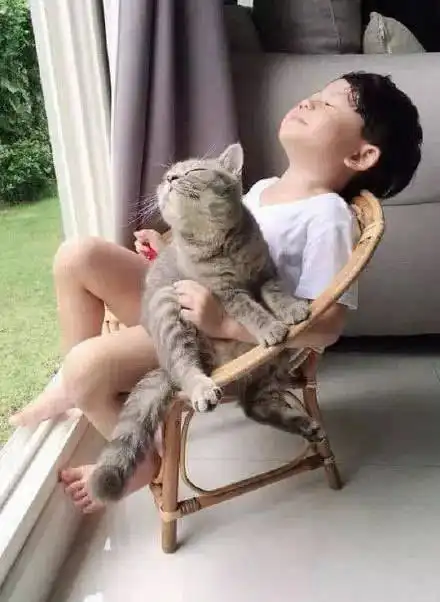 当着猫咪的面教育女儿,差点威严扫地
